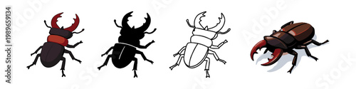 Stag Beetle Illustrations Collection