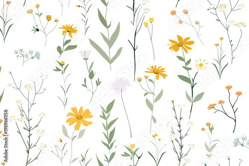 Seamless Pattern of Delicate Wildflowers and Botanical Elements on White