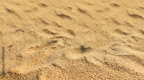 Sand surface with natural texture patterns.