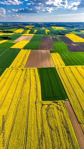 Aerial shot of diverse agricultural fields under a bright blue sky with puffy white clouds, exhibiting various crops