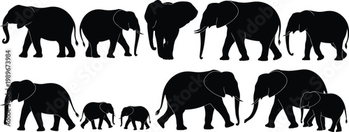 Elephant silhouettes set, African wildlife family herd walking isolated vector
