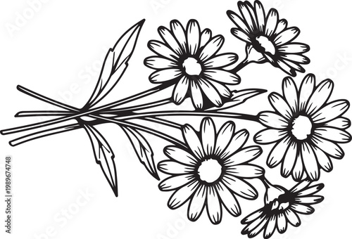 Daisy flowers coloring page book vector illustration relaxing floral design for kids adults