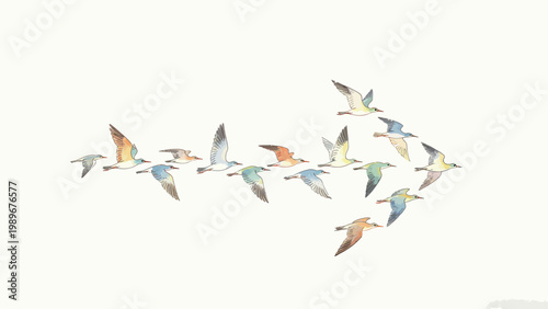 Watercolor Style Illustration of a Flock of Migrating Birds Forming an Arrow Shape Flying Left Against a Plain Off-White Background