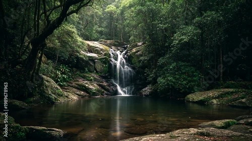 Majestic waterfall gracefully descends into a crystal-clear natural pool, nestled deep within a vibrant, untouched rainforest, creating a serene and captivating natural sanctuary