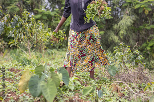 Woman weeding a garden in western Rwanda