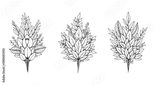 Flowers set with line drawn bouquets and leaves in black outline, floral arrangements with buds and stems.