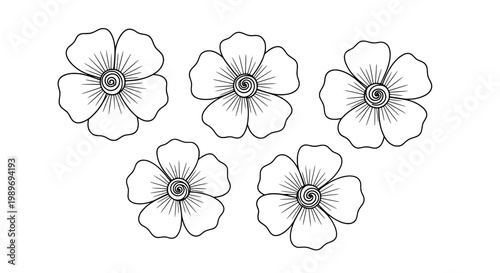 Flowers hand drawn set with black outlined petals and lines, simple line art style, floral illustration
