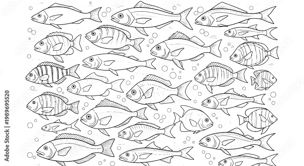 Obraz premium Fish school swimming with various scales and fins, illustrated in black and white line art with bubbles.