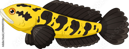 Yellow Emperor Snakehead Fish Illustration (Channa Marulioides) isolated on white