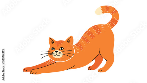 Adorable ginger tabby cat stretching its front paws forward in a playful and relaxed pose on a clean white background.