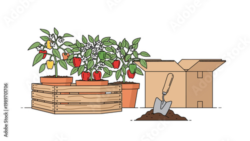 Home gardening set featuring pepper plants in terracotta pots, a wooden crate, an open box, and a trowel in soil.