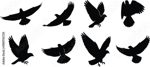 Bird silhouettes in flight isolated on transparent background