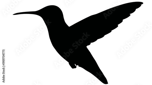 Elegant black hummingbird silhouette vector illustration, a graceful avian design element for nature, wildlife, and swift movement themes.