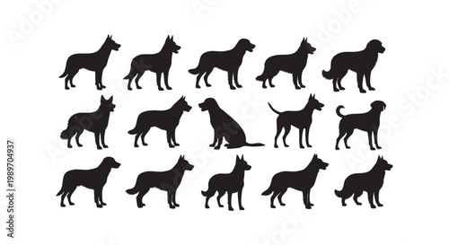 Collection of diverse dog breed silhouettes running standing sitting in various poses playful and active pets vector illustration.