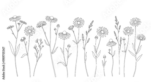 Flowers line art bundle with delicate daisies, lavender sprigs, and fine botanical stems for elegant minimalist designs