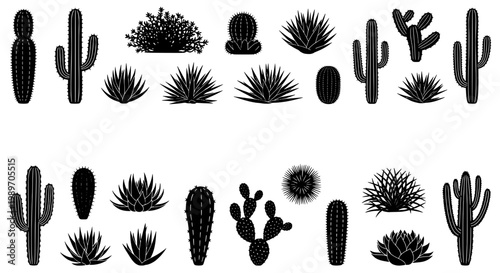 Cacti and succulents set with various shapes and styles in black and white featuring plants, desert, illustration with nature and botanical elements