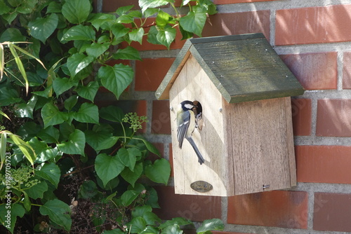 Vogelhäuschen mit Meise und Futter im Schnabel