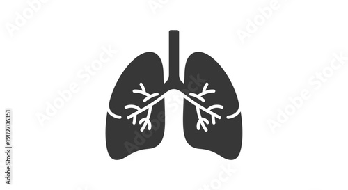 Human lungs anatomy organ illustration.