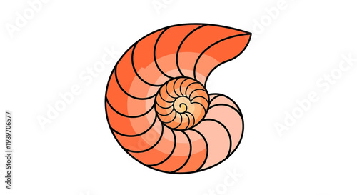 Stylized nautilus shell vector illustration in orange tones