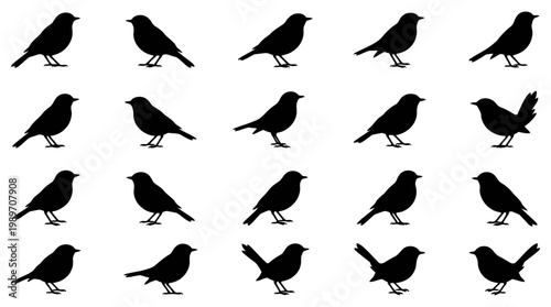 Collection of assorted bird silhouette graphics perfect for creative design projects