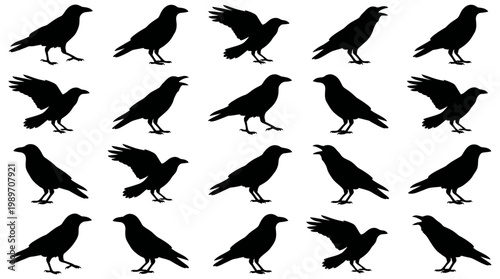 Dynamic collection of multiple crow and raven silhouette illustrations displaying various poses and movements