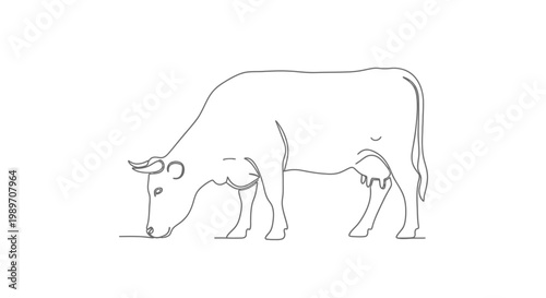 Single Line Drawing of a Cow Grazing in a Field, Minimalist Farm Animal Illustration