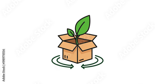 Small green plant in cardboard box.