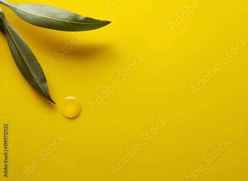 Olive oil drop with green leaves on yellow background, copy space