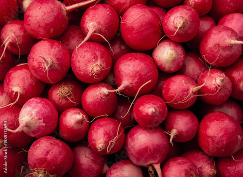 Fresh radishes at the market. Red radish background. Top view of red radish. 