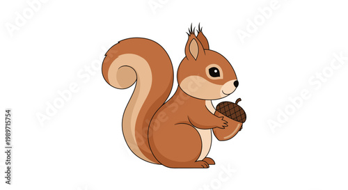 Cute Brown Squirrel Holding Acorn on Isolated White Background
