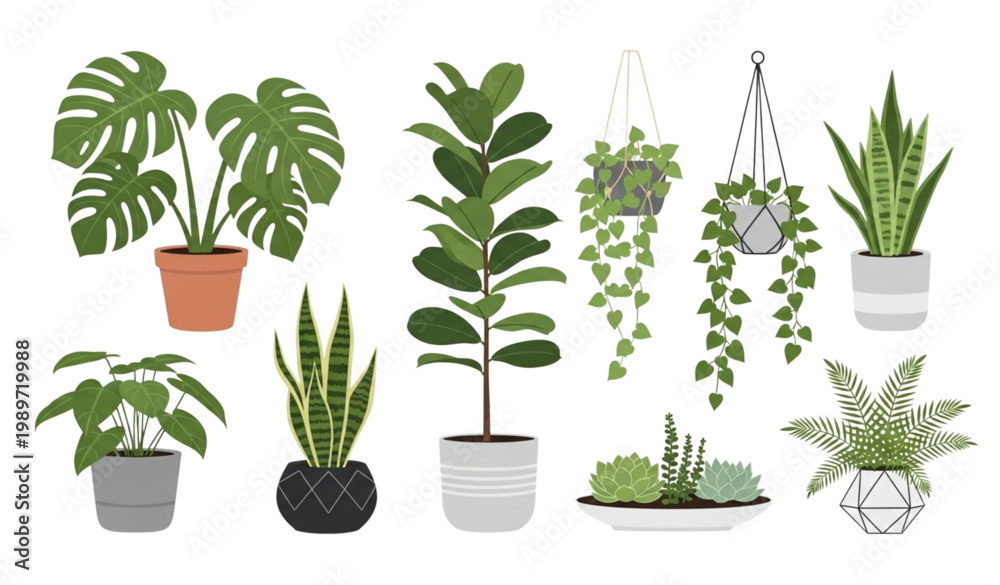 Fototapeta premium Indoor plants vector set green houseplants pot decoration illustration
