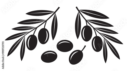 Olive Branches With Leaves And Fruits Isolated On White For Food And Natural Concepts