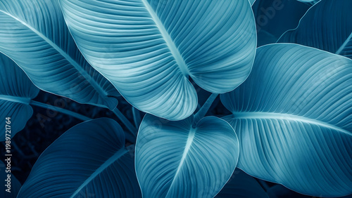 Close up of vibrant blue banana leaves a tropical botanical study