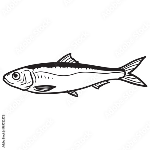 Hand drawn black and white sardine fish illustration for seafood menu and fishing logo design