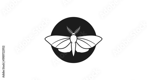Minimalist Black and White Moth Icon in a Circle. Simple Graphic Design for Insect, Nature, or Logo Concepts.