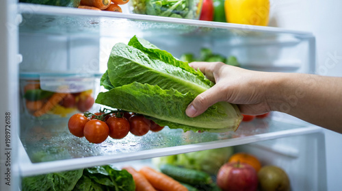 Person filling fridge with fresh vegetables and taking lettuce  