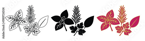 Hand drawn culinary herbs vector set, aromatic basil and rosemary icons, organic spice sketches