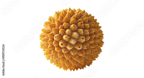 Microscopic view of a pollen grain against a black background