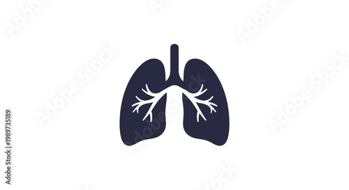 Human lungs with bronchial tree.