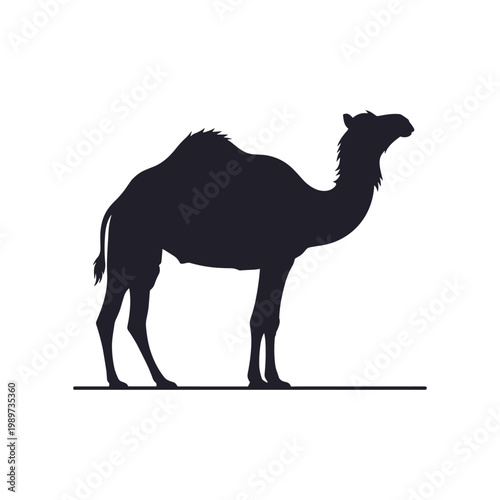 Silhouette of a camel standing on a flat surface
