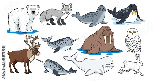 A collection of arctic and subarctic animals in cartoon style