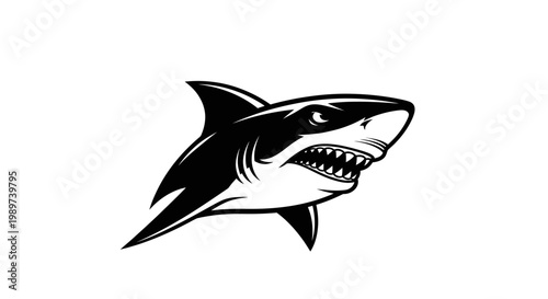 Aggressive Shark Illustration with Sharp Teeth and Fierce Eyes.