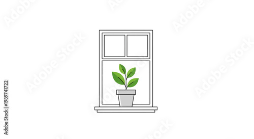 Potted plant on a windowsill indoors.