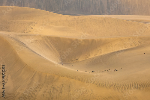 Evening sunlight illuminates the crest of a sand dune in the Maspalomas Special Nature Reserve, revealing countless footprints and delicate ripples across the golden landscape