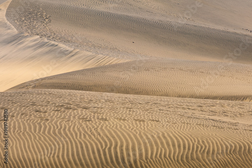 Evening sunlight illuminates the crest of a sand dune in the Maspalomas Special Nature Reserve, revealing countless footprints and delicate ripples across the golden landscape