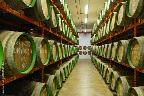 Long rows of traditional oak barrels, stacked high in the aging cellars of the historic Rum Distillery, mature under controlled conditions in the town of Arucas
