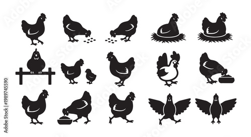Chicken silhouette vector icons set, farm poultry bird collection with 15 elements, black hen and rooster silhouettes for organic food branding