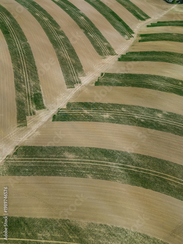 An aerial view of the undulating agricultural fields in the Moravia region, featuring precisely planted green crop stripes that follow the natural contours of the hills near Kunkovice