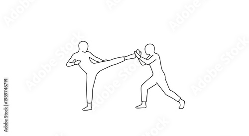 Martial arts fighters in kicking stance.