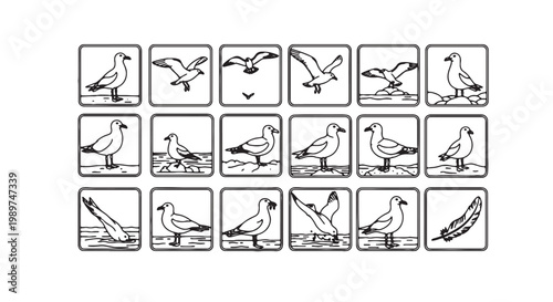 Minimalist seagull icon set, 18 black and white bird vector illustrations, coastal wildlife line art symbols for nautical branding and beach signage
